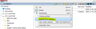 adding_new_column_manually_in_panel.png