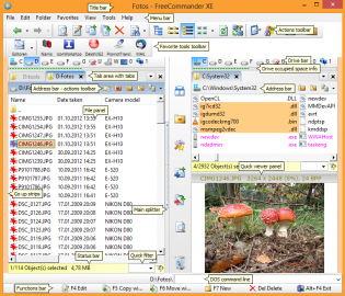 2. Main window - quick viewer